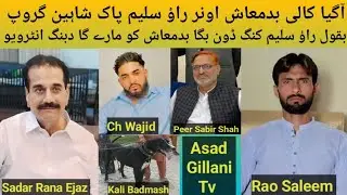 Pakistani Top Class Bully Breed Dog Name Kali Badmash Owner Rao Saleem of Renala 