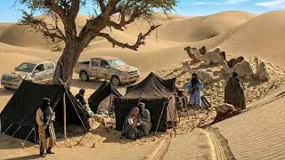 A Peaceful Desert Turned Into a Pr&igrave;son  FilmMovie Explained In HindiUrdu