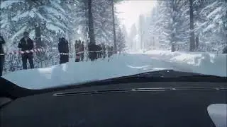 DiRT Rally 2.0 Peugeot 206 Rally in Sweden