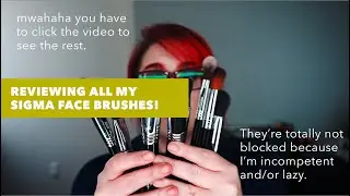 Reviewing All My Sigma Face Brushes | Makeup Brush Review | Reviews & Rankings