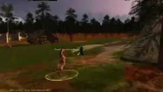 Dark and Light - Illusionist combat video #1