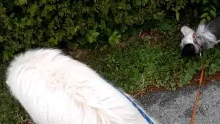On a walk