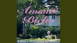&Aacute;mame Bicho