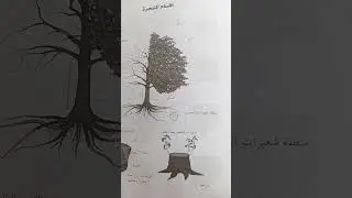 الاعشاب