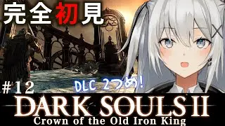 【ダクソ2 DLC2】#1２  完全初見プレイが逝く！ダークソウル2 熔鉄城の彼方「黒霧の塔」！【DARK SOULS Ⅱ CROWN OF THE OLD IRON KING】【PS4】#もふライブ