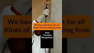 Pest control for Commercial Spaces 🏘 #pestfree #pestcontrol #pestcontrolservices #antitermite