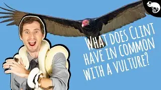 Social Distancing with Clint: What Does Clint Have in Common with a Vulture? (Week 22)