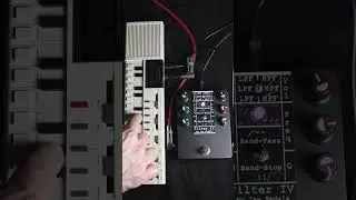 Ivy Pedals NEON Filter IV #Synthesizer #PedalDemo 3/4 #effectspedals #pedals #synth #Casio #lofi