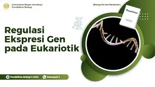 Regulasi Ekspresi Gen pada Eukariotik_UAS BIOSELMOL PBIO(G 23)_Kel(5)