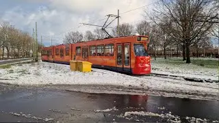 Tram 1 | Delft Tanthof - Scheveningen Noorderstrand | HTM 3115 Willem van Oranje | 2026