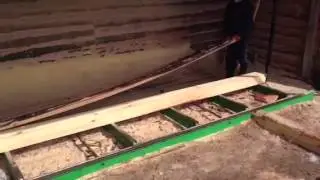 Wood export, produce pine timber and cutting pine board