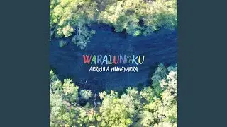 Harmony