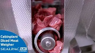 Cabinplant Diced Meat | Food Industry Automation