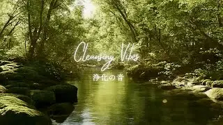 432Hz Forest Meditation | Healing Instrumental & Nature Sounds for Deep Relaxation (3hour)