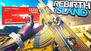*NEW* the NZ-41 has NO RECOIL AFTER NERF... (Best NZ-41 Class Setup)