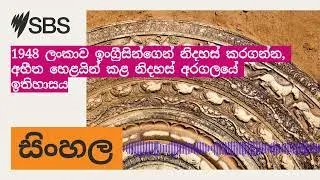 1948 ලංකාව ඉංග්‍රීසින්ගෙන් නිදහස් කරගන්න, අභීත හෙළයින් කළ නිදහස් අරගලයේ ඉතිහාසය | SBS Sinhala -...