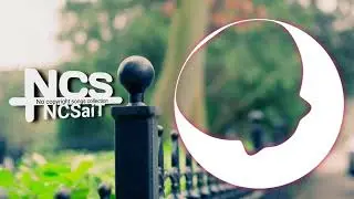Roasting NCS [NCS MUSIC COLLECTION]