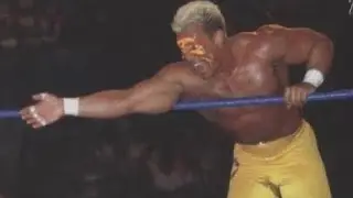 Sting and Hulk Hogan vs 3 Faces Of Fear:WCW Clash Of The Champions November 16,1994 Part 2