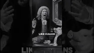 What They Never Taught You: The Shocking History of Animal Trials in Medieval Europe! #facts #shorts