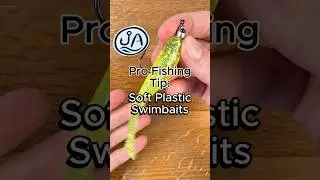 Pro Tip for Rigging Soft Plastic Swimbaits #fishing #fishingtips #swimbait #bassfishing