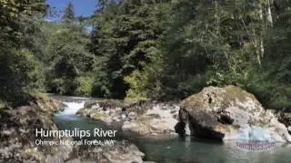 Swimming Holes of the Northwest