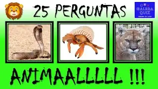 QUIZ ANIMAL CURIOSIDADES #1 - 25 PERGUNTAS SOBRE ANIMAIS