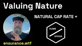 Understanding Natural Cap Rates: A New Approach to Valuing Nature