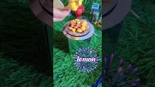 Miniature kitchen ll classic sweet corn recipe Miniature style 🍋🌽🌽🌽🥘