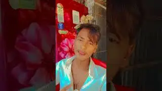 #manimerajsong#bhojpuri
