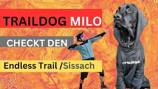 Milo checkt den Endless Trail in Sissach.