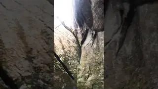 which cave is this? #caveinkerala  #shortsfeed #ytstudioes #cave #ytstudioes #trendingshorts