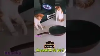 jouer comme au casino !