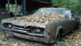 Car Cemetery Kaufdorf