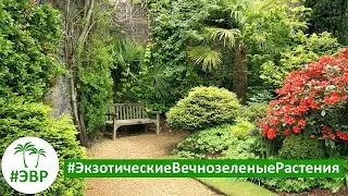 МЫ - ЭВР