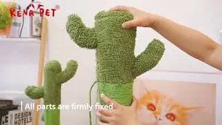 Cactus Cat Scratcher, Your Cat May Like It