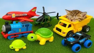 Calming Toy Show for Kids with Sleeping Cat 🐱 | Learn Colors & Sounds