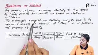 Elastomers or Rubbers