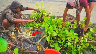 Best Fishing | Asian Traditional Fishing | Primitive Fishing Technique in Village @ABTVbd