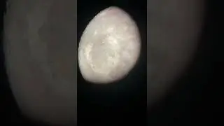The moon #funny #moon #telescope #space #earth