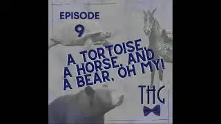 The History Guy Podcast: A Tortoise, a Horse, and a Bear, Oh My!
