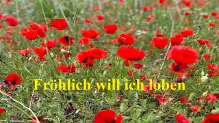 Fr&ouml;hlich will ich loben