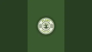 Plant Fantasy 🌱 is live