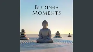 Equanimity Practice