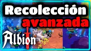 ¿Dónde se GANA MÁS RECOLECTANDO? 🤔 Guía de recolección avanzada - Albion Online.