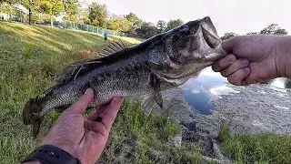 Trying Out The New FX Custom Rod!!