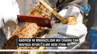 Nyuki hufanya chakula chetu kiwe na ladha nzuri: