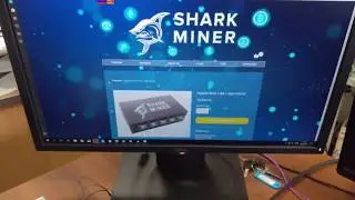 Shark Miner