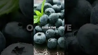 Blueberries Are Brain Fuel for Focus and Memory #healthtips #fitness