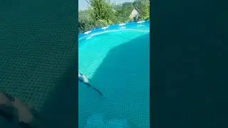 Очистка бассейна, Альгицид и коагулянт
