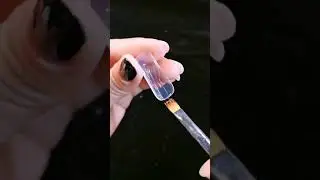 DIY French Nails with Polygel Kit